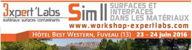 PARTENARIAT : Workshop SIM II les 23 et 24 juin !